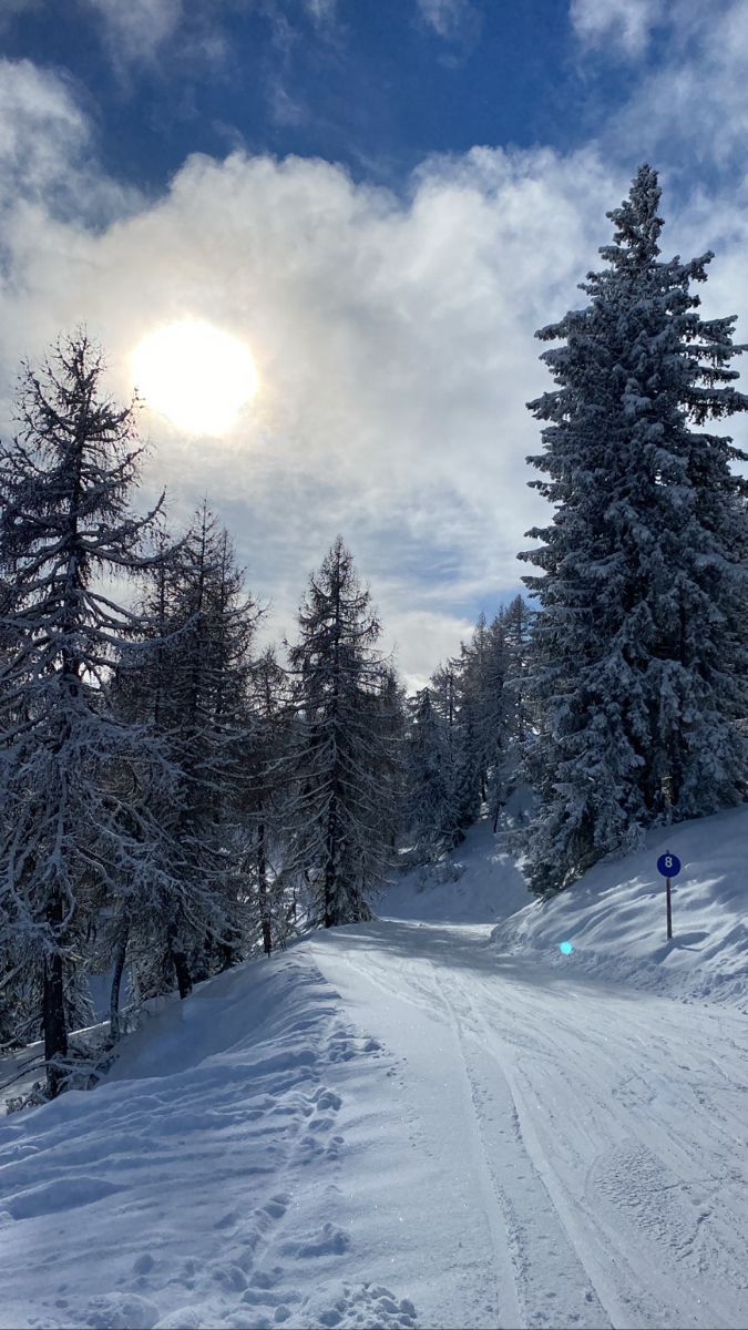 the sun shines brightly through the clouds above snow covered trees