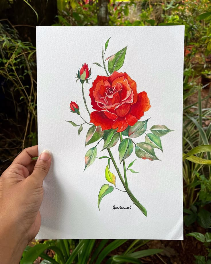 a person holding up a piece of paper with a drawing of a red rose on it