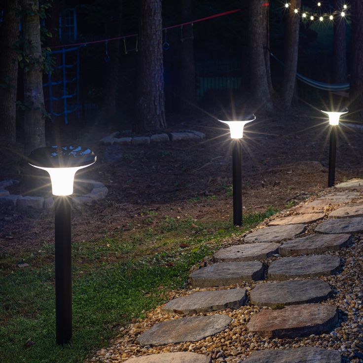 some lights that are on the side of a path in the woods at night time