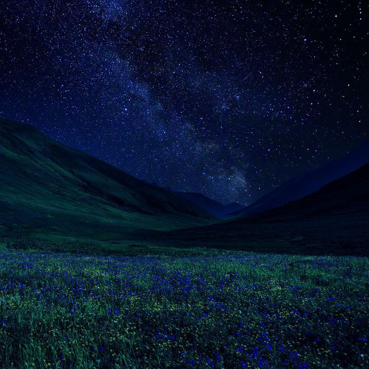 the night sky is filled with stars and green grass