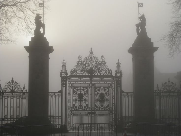 an ornate gate with statues on top in the fog