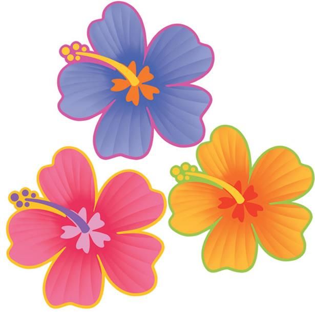 three different colored flowers on a white background