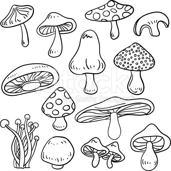 black and white drawing of various types of mushrooms