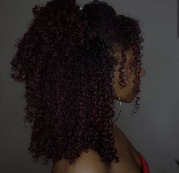 Cherry Cola Hair Color Curly, Black Cherry Hair Color Curly Hair, Curly Hair With Red Highlights, Red Highlights On Dark Hair Curly, Cherry Cola Red Hair, Dark Red Curly Hair, Cherry Coke Hair Color, Burgundy Natural Hair, Hair Color Cherry Coke