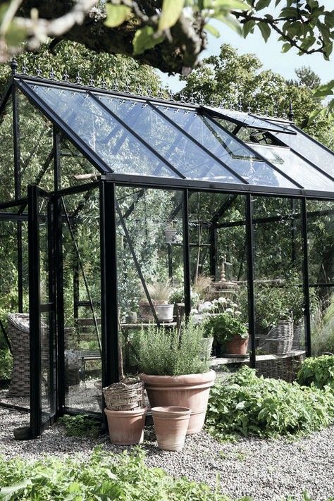 a small greenhouse with potted plants in it