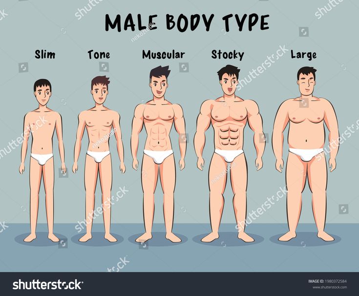 Male Body Types, Male Body Shapes, Mens Body Types, Male Body Drawing, Ideal Male Body, Types Of Body Shapes, Body Type Drawing, Okinawa Flat Belly Tonic, Bodybuilding Workout Plan