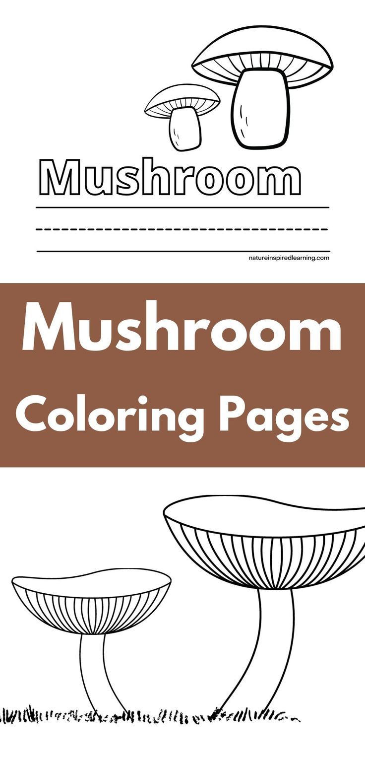 Two black and white mushroom coloring pages with a brown rectangle in the middle with white text overlay. Pictures Of Mushrooms, Realistic Mushroom, Coloring Sheets For Adults, Different Mushrooms, Mushroom Coloring Pages, Kindergarten Coloring Sheets, Coloring Pages For Preschool, Mushroom Coloring, Kindergarten Science Activities