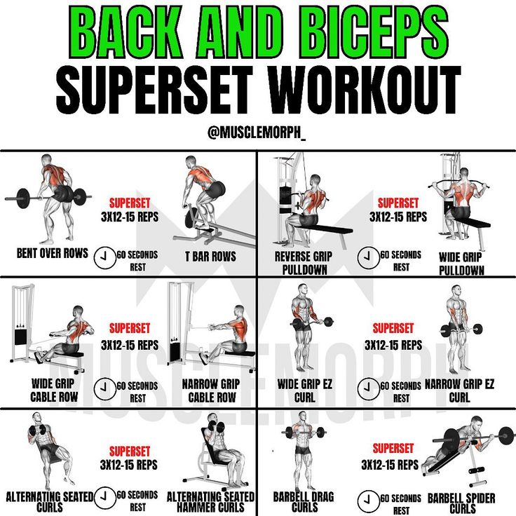 the back and biceps superset workout poster shows how to do squats