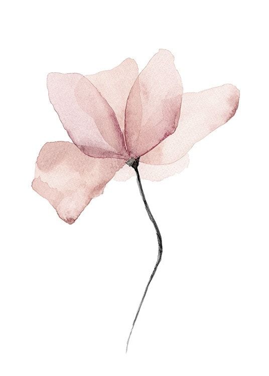 a watercolor painting of a pink flower on a white background with the petals still attached