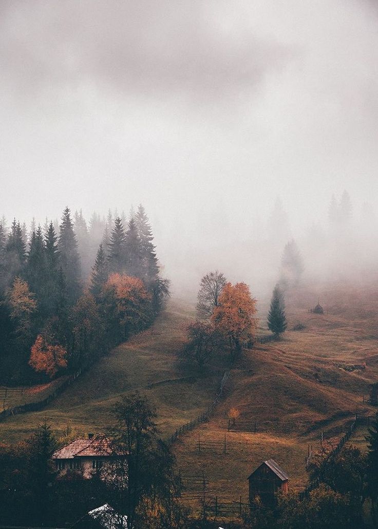 a foggy hillside with trees and houses in the foreground on a cloudy day