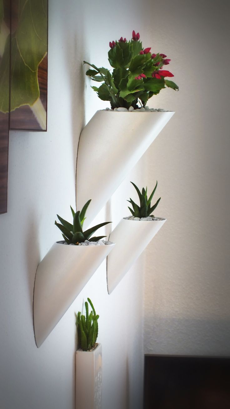 three white vases with plants in them are hanging on the side of a wall