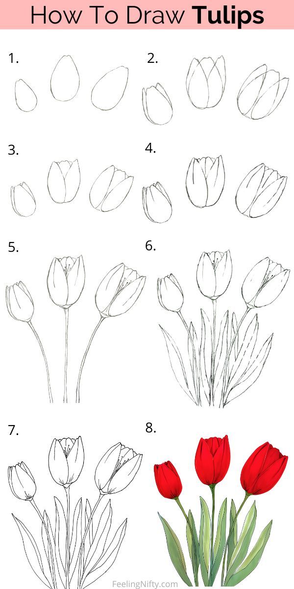 how to draw tulips step by step instructions for beginners and advanced artists