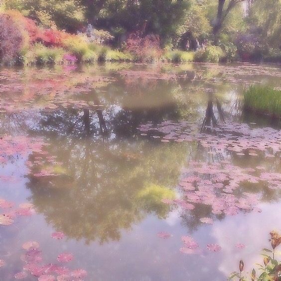 beauty flowers nature fairy magical aesthetic ethereal love stunning leaves forest plants unreal inspo coquette cottage core lake Soft Pink Theme, Ethereal Aesthetic, Fairy Aesthetic, Pretty Landscapes, Pink Themes, Pretty Photos, Aesthetic Images, Nature Aesthetic, Aesthetic Backgrounds