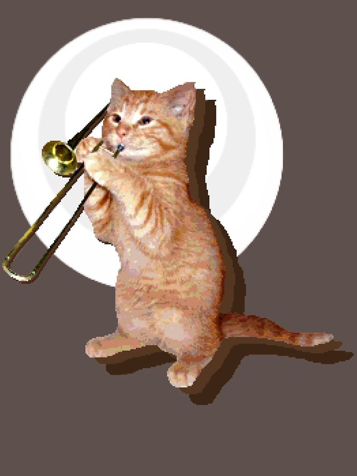 a cat is playing the trumpet with its paws