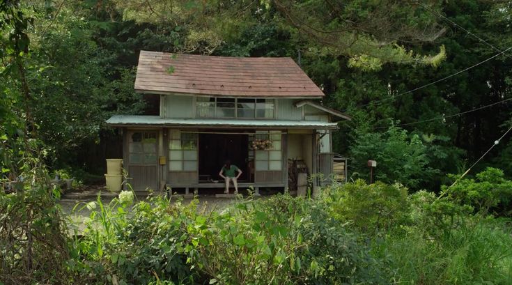 there is a small house in the middle of some trees and bushes with a person standing at the door