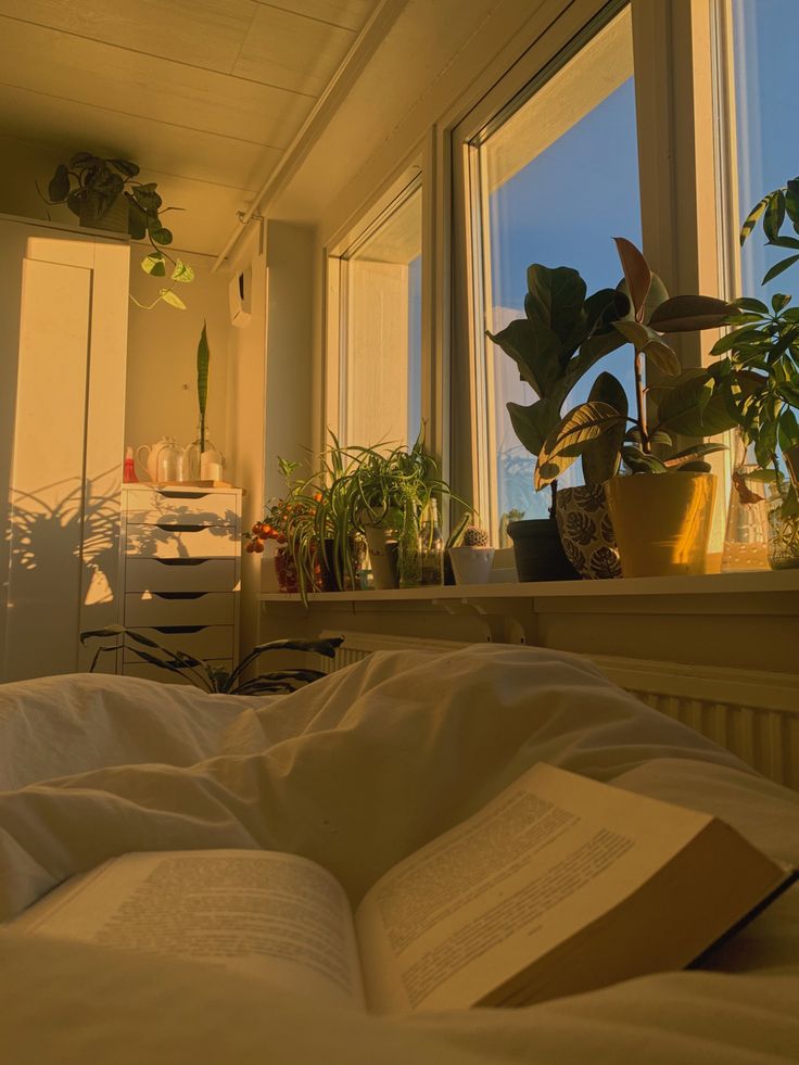 an open book sitting on top of a bed in front of a window filled with potted plants