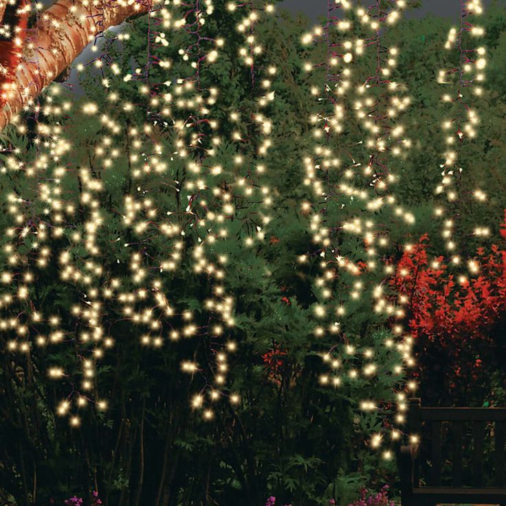 Yard String Lights, Outdoor Tree Lighting, Beautiful Gardens Landscape, Modern Backyard Landscaping, Outdoor Trees, Led Tree, Yard Lights, Most Beautiful Gardens, Side Garden