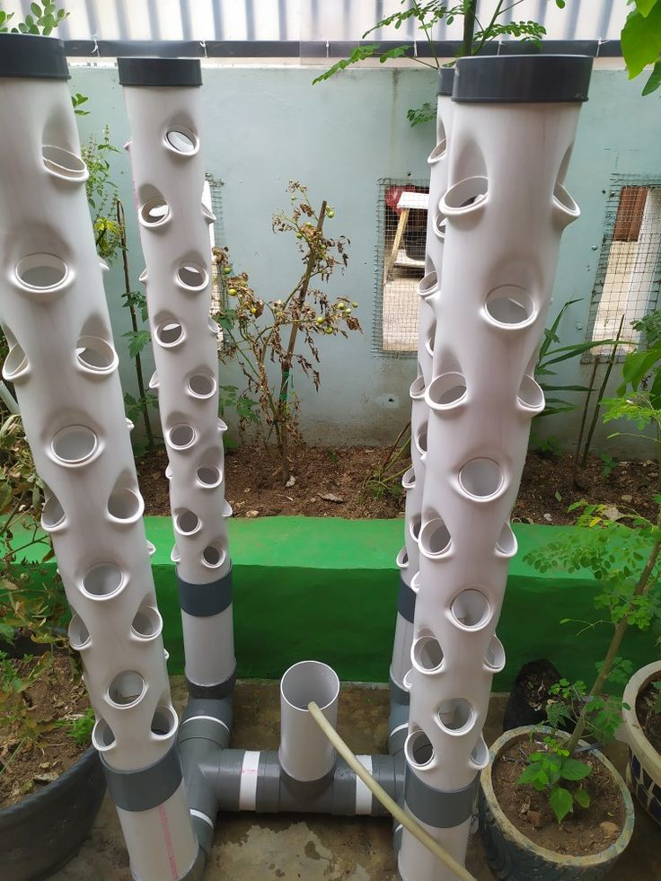 pipes are lined up in the middle of an area with potted plants around them