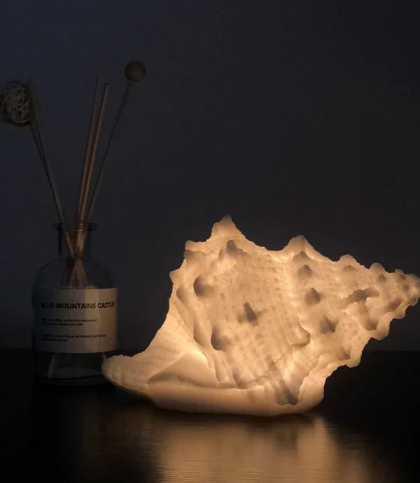 a white shell lamp sitting on top of a table next to a bottle with reeds in it