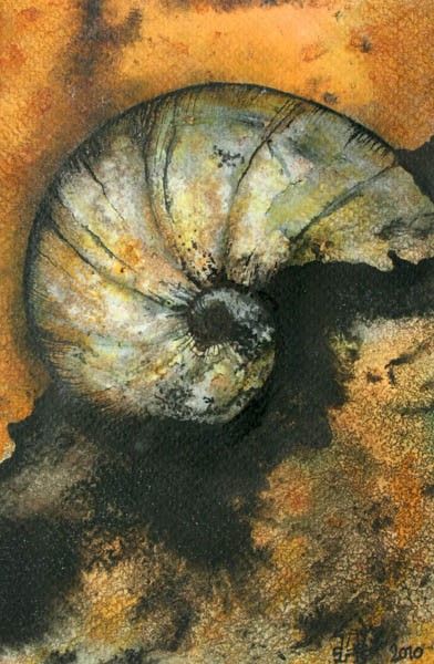 a painting of a shell on a yellow and brown background, with black spots around it