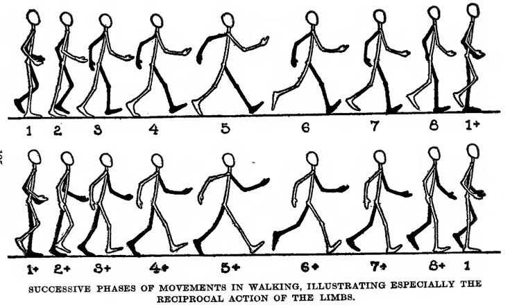 an old drawing shows how many people are walking in the same direction as each other