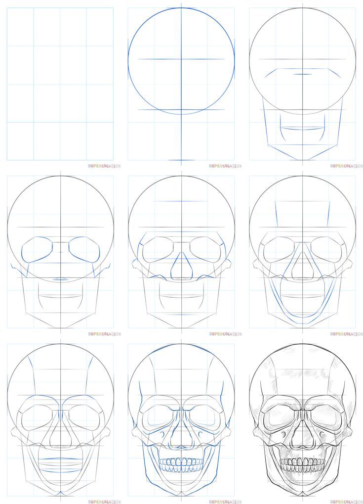 how to draw a human skull with different angles and head length, step by step