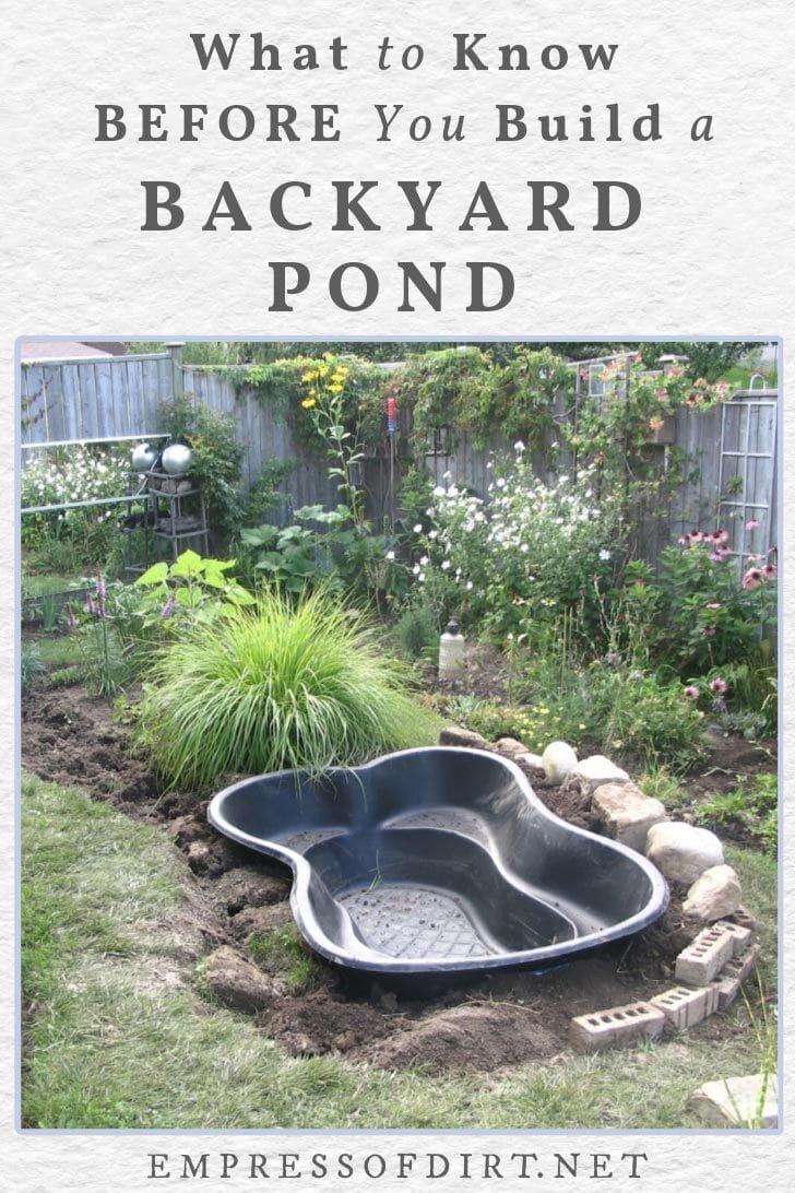 a backyard pond with the words what to know before you build a backyard pond on it