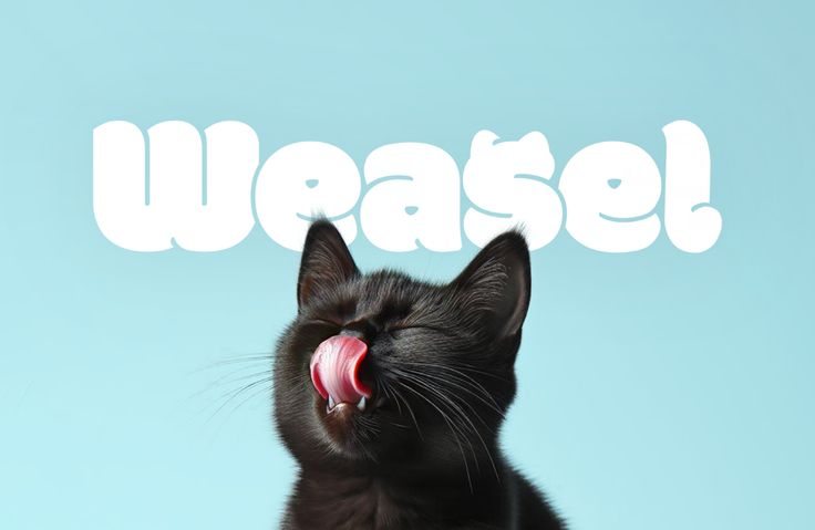 a black cat with its tongue hanging out and the word weasel written in front of it