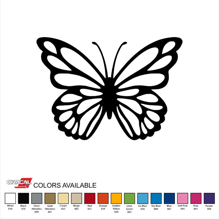 a black and white drawing of a butterfly with color swats on it's wings