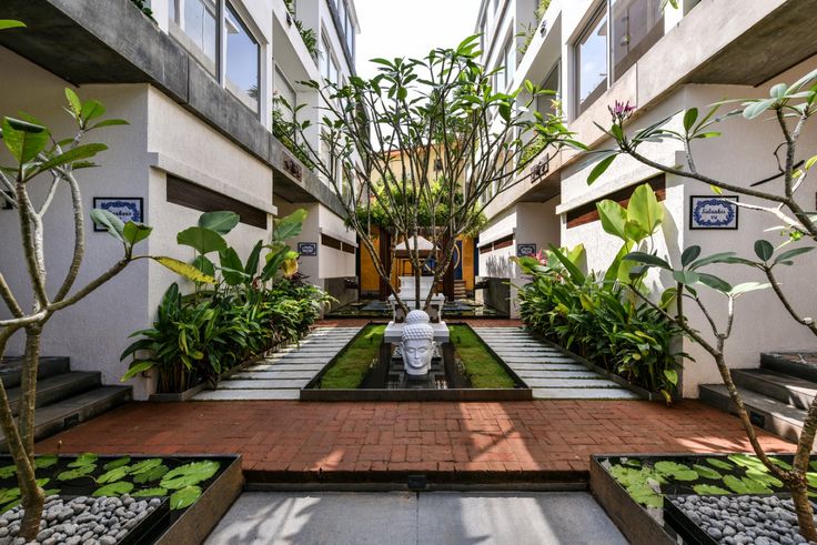 an outdoor courtyard with plants and walkways