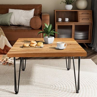 a living room with a couch, coffee table and potted plant on the rug