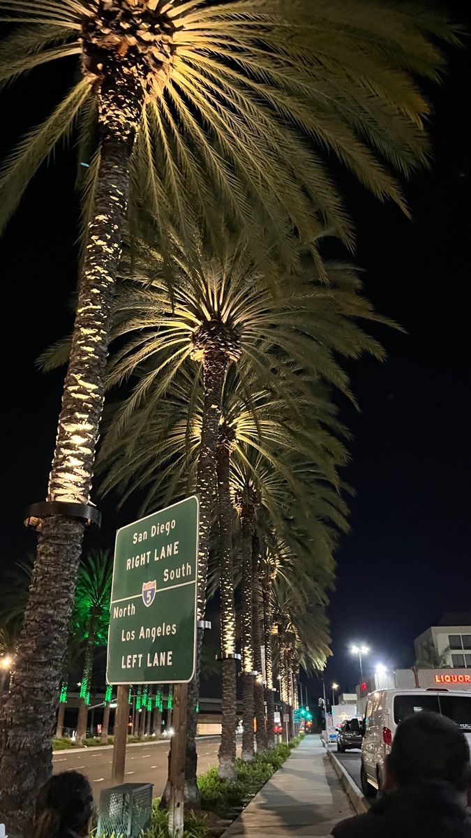 palm trees line the street at night in front of a white bus and people walking on the sidewalk