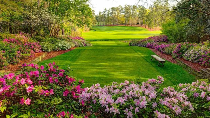 a lush green golf course surrounded by pink flowers and trees with a bench in the middle