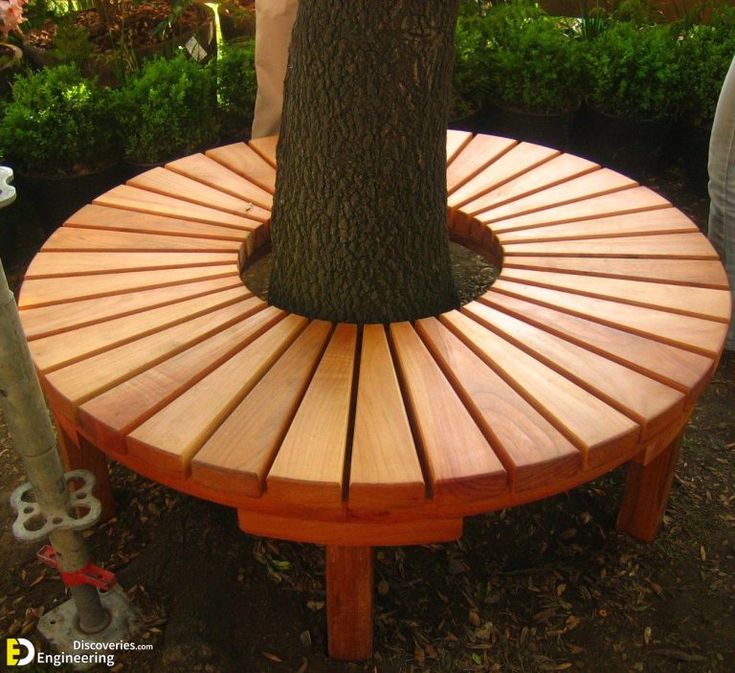 a circular wooden bench next to a tree