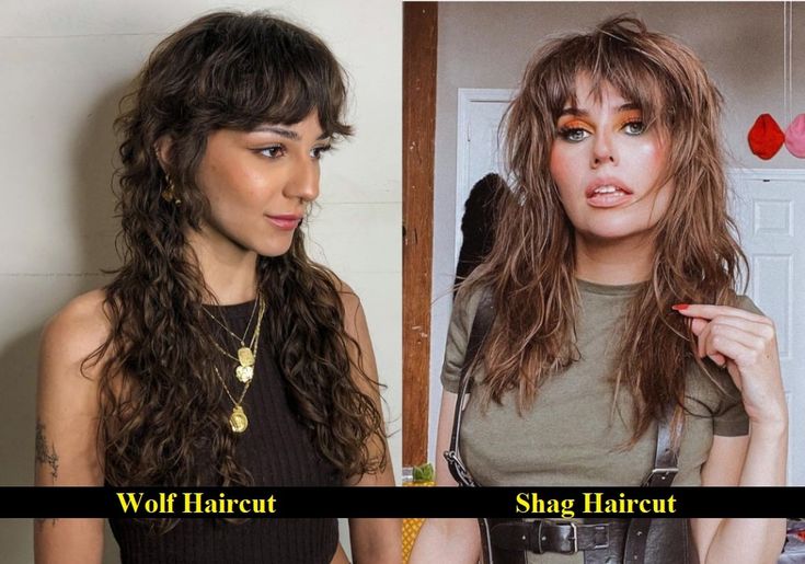 Wolf Cut Vs. Shag Cut Debate | Which One Is Better? Wedding Bob, Mullet Haircuts, Rachel Haircut, Easy Trendy Hairstyles, Shag Cut, Monochrome Makeup Look, Medium Shag Haircuts, Mullet Haircut, Lob Haircut