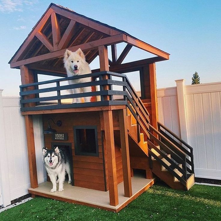 a dog house with two dogs in it