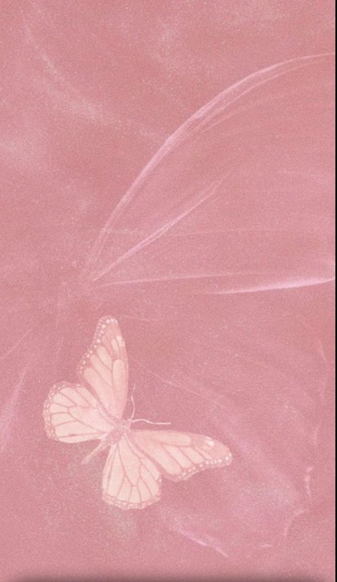 a white butterfly sitting on top of a pink sheet