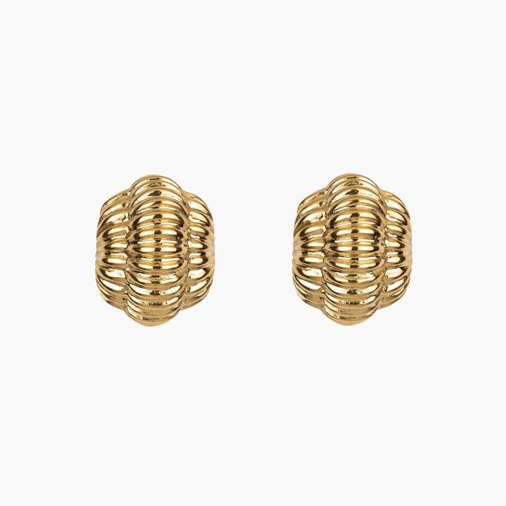 Introducing the Damaris Earring - Gold: a stunning pair of nickel-free ribbed dome studs. Crafted in 18K gold, these earrings showcase a rounded, shell-like design against a pristine white background. Tarnish Resistant Yellow Gold Metal Clip-on Earrings, Yellow Gold Tarnish Resistant Metal Clip-on Earrings, Tarnish Resistant Gold-tone Brass Clip-on Earrings, Modern Gold Plated Tarnish Resistant Clip-on Earrings, Modern Yellow Gold Clip-on Earrings, Gold Plated Clip-on Plug Earrings, Gold Internally Threaded Plug Earrings, Gold-tone Clip-on Gold-plated Earrings, Gold-tone Clip-on Gold Plated Earrings