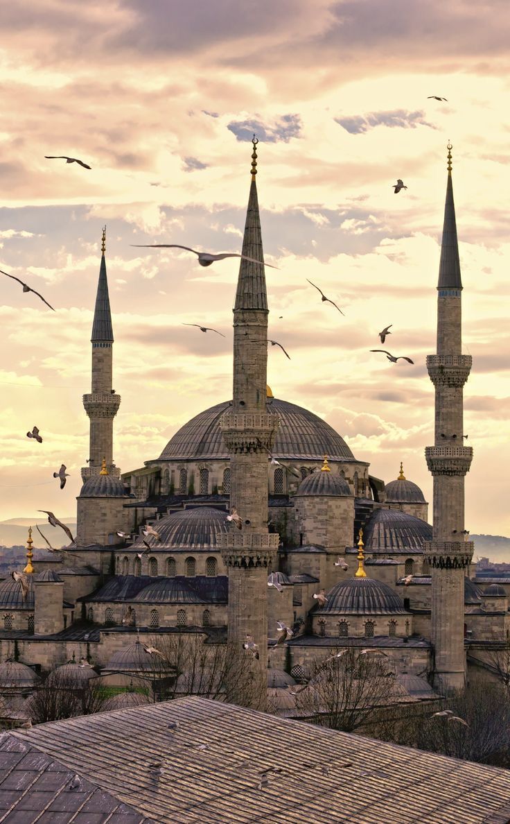 a large building with many spires and birds flying in the air above it at sunset