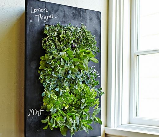 a wall mounted herb plant on the side of a window sill next to two canisters