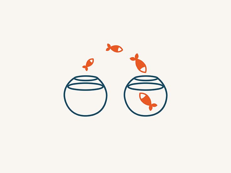 two goldfish jumping out of the water to another fish that is swimming in it