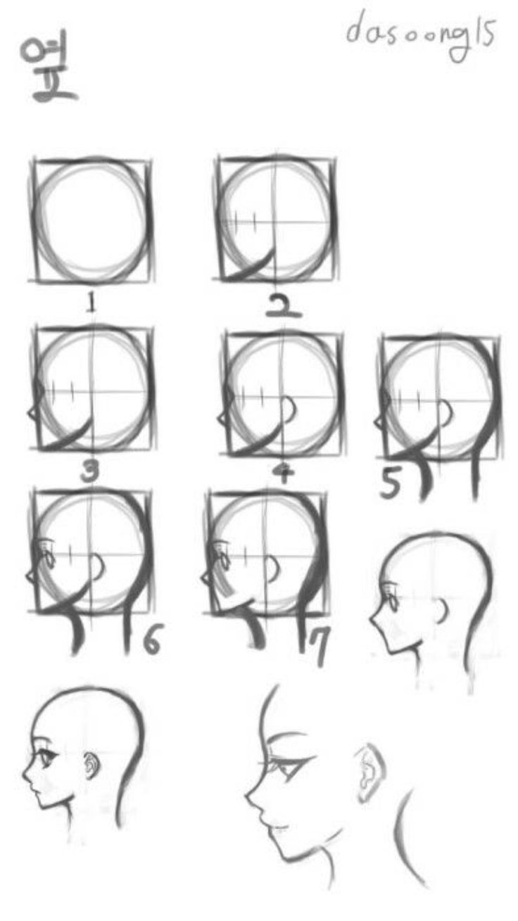 an image of how to draw the head