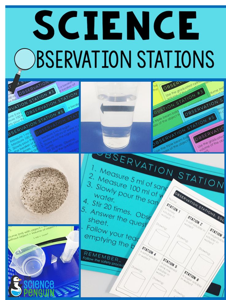 science observation stations for the classroom