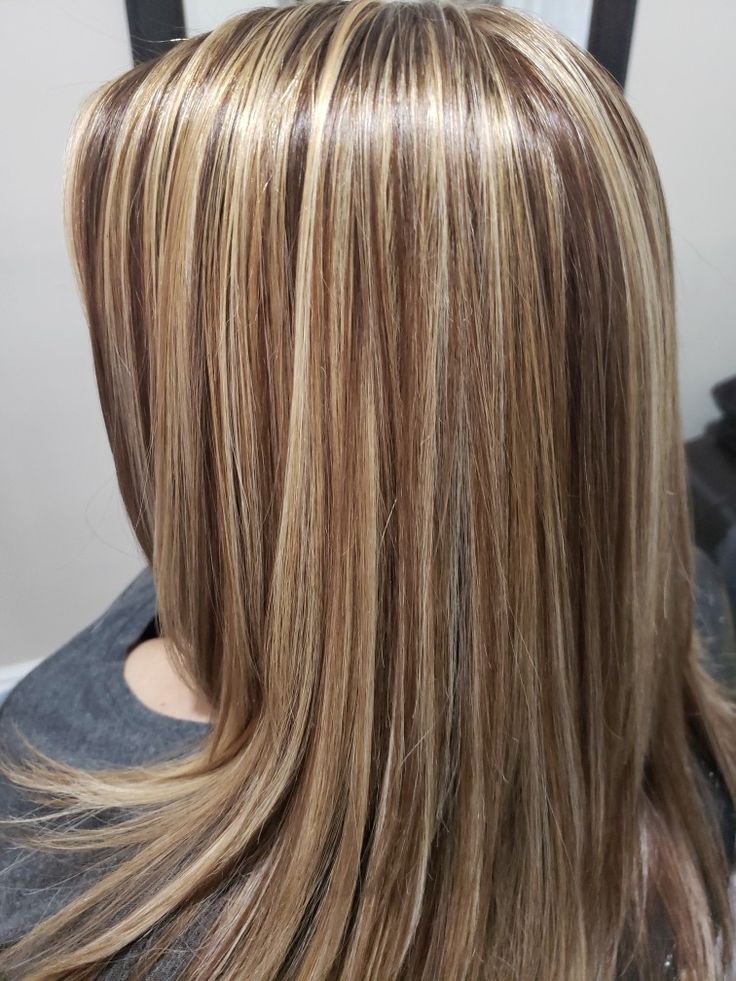 Lowlights On Natural Blonde Hair, Long Brown Hair With Honey Highlights, Hi Lights And Low Lights Brown Hair, Light Caramel Highlights, Party Tips And Tricks, Color Correction Hair, Balayage Blond, Hair Highlights And Lowlights, Perfect Hair Color