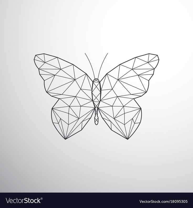 a butterfly consisting of lines and polygonals on a gray background with copy - space for text