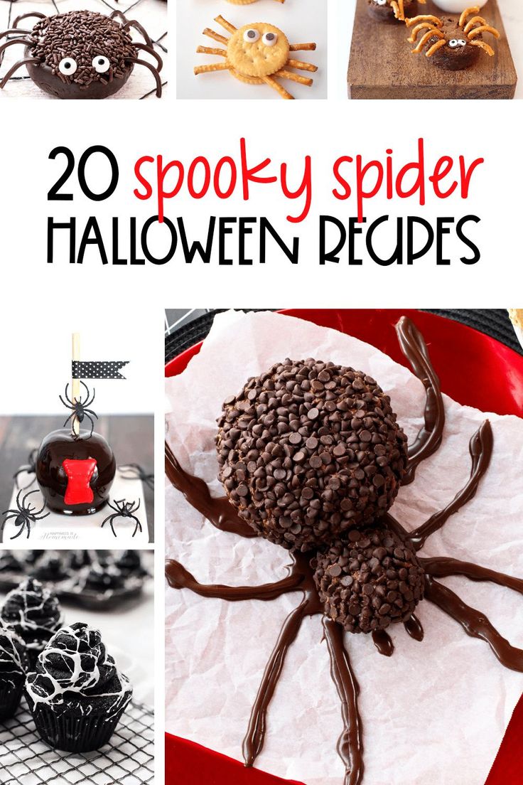 Spider Desserts Halloween, Edible Spiders For Halloween, Spider Candy Ideas, Spider Cheese Ball Halloween, Spider Themed Snacks, Halloween Spider Food Ideas, Halloween Spider Food, Spider Food Ideas For Kids, Spider Appetizers