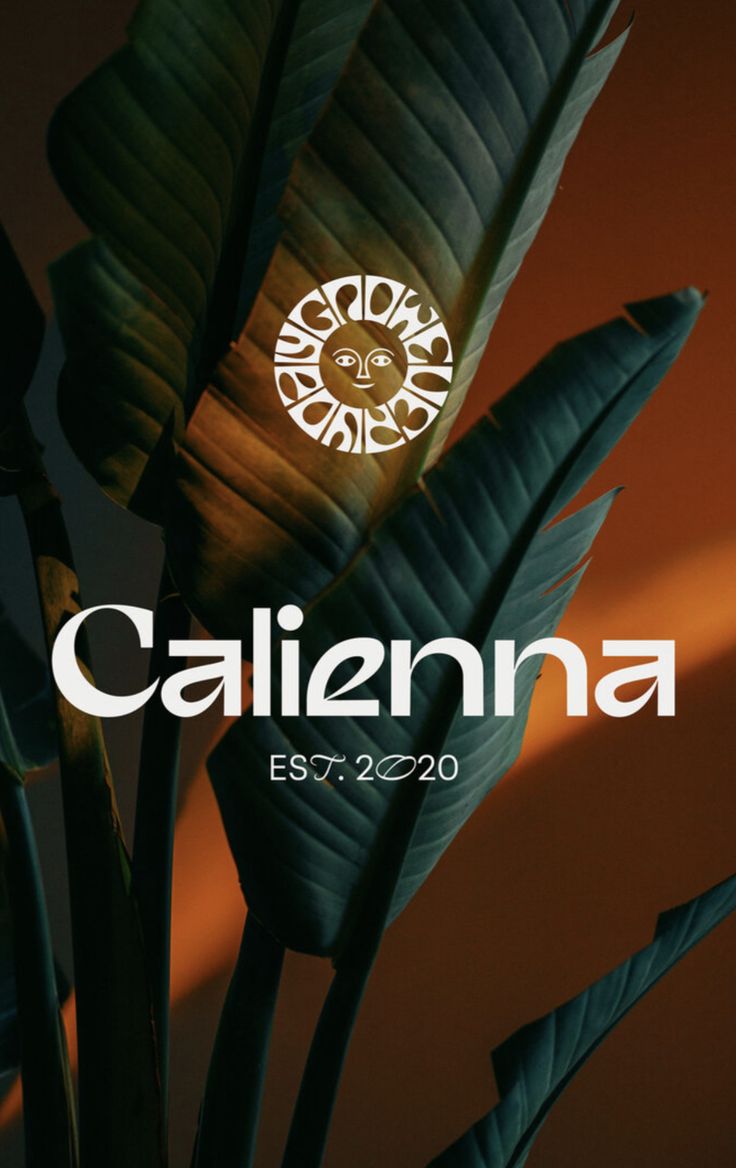 a plant with the word california on it in front of an orange background and white lettering