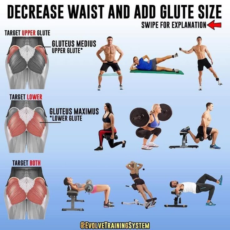 Excellent Health, Glute Medius, Gluteus Medius, Workout Tips, Getting Fit, Glutes Workout, Health Info, Work Outs, Lower Body