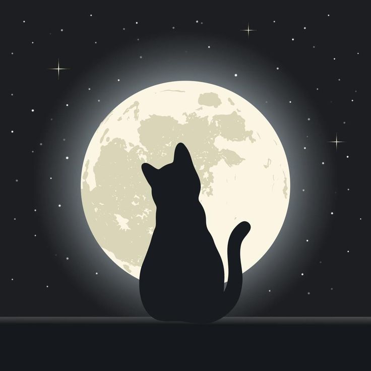 a cat sitting in front of the full moon