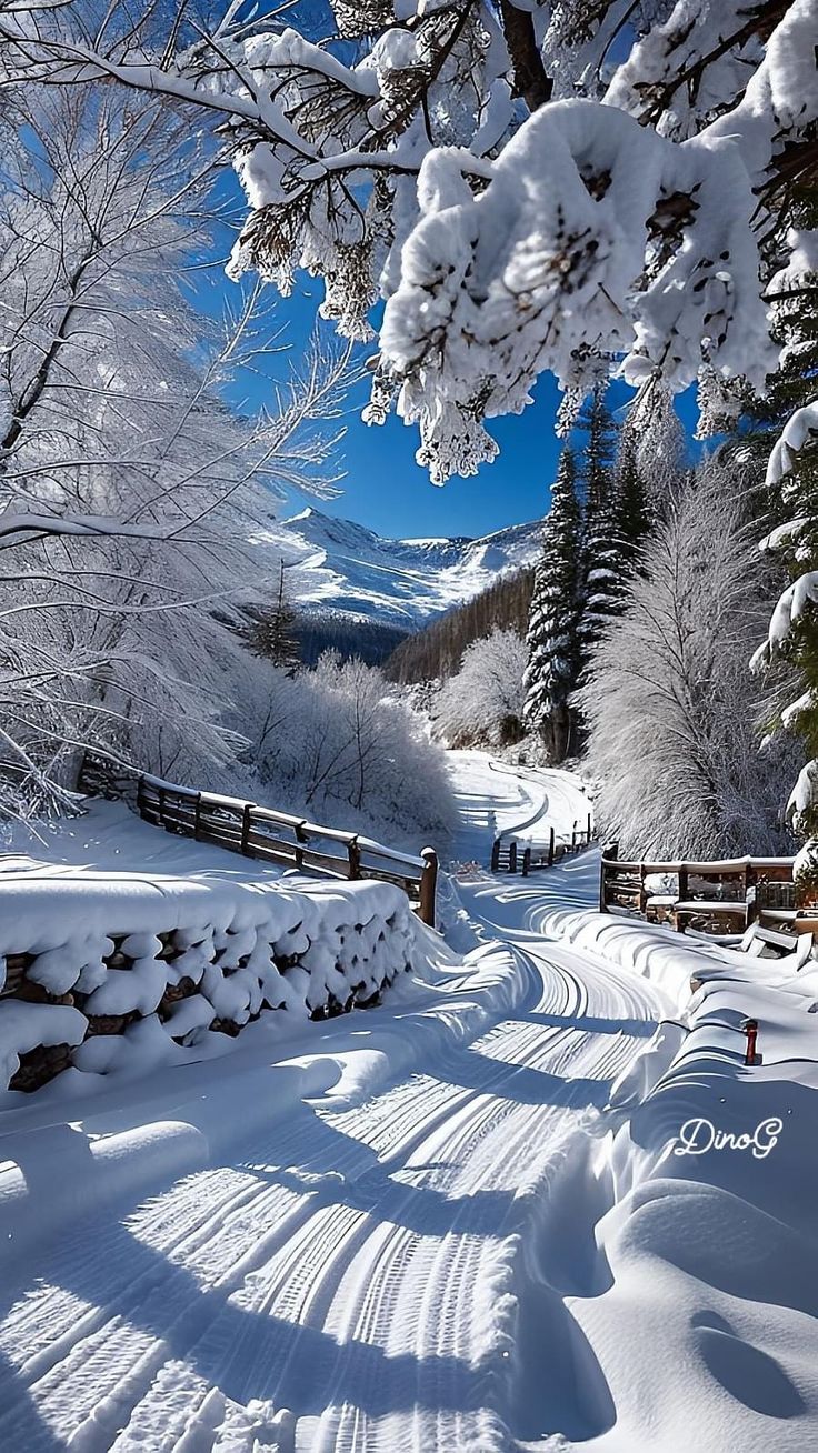 a snow covered road with trees and mountains in the background